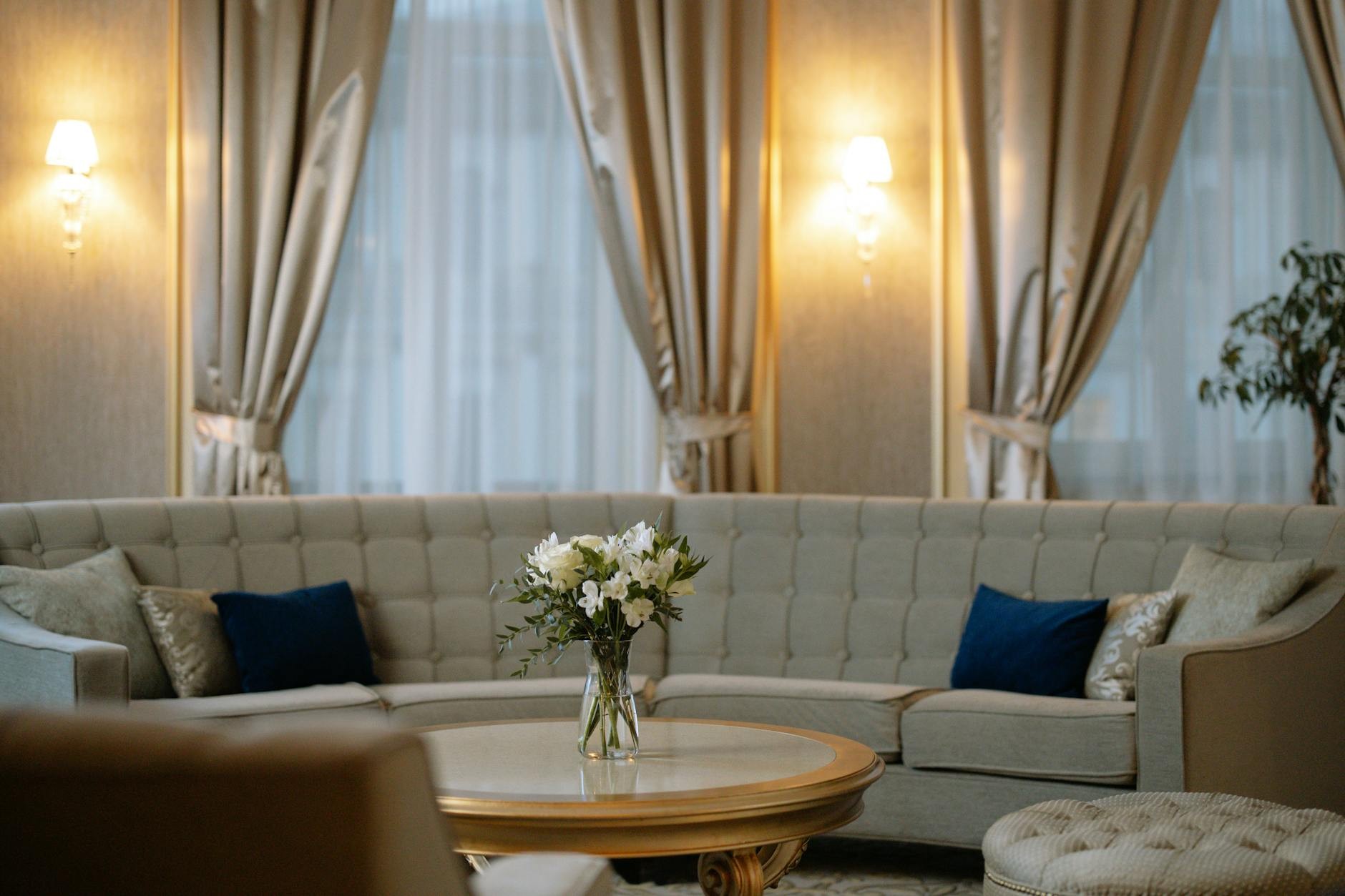 Longevity and Air Quality through Professional Upholstery Steaming